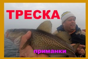 Треска в холода ноября 2023 #морскаярыбалка  #треска