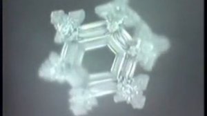 DVORAK A NEW WORLD WATER CRYSTALS EMOTO EMOTIONS