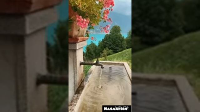 Сур аль-Бакара. Красивое чтение корана. От сглаза, от порчи, для очищения дома. Спокойный сон смотреть онлайн