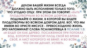 Совершенная жизнь