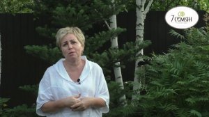 РЯБИНОЛИСТНЫЙ СЭМ- КУСТАРНИК, КОТОРЫЙ КРАСИВО ЦВЕТЕТ И НЕ ТРЕБУЕТ УХОДА!