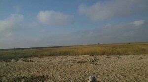 Рыбалка кефали на Бакале август 2016 года.mp4