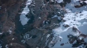 Горные козы #козы #горы