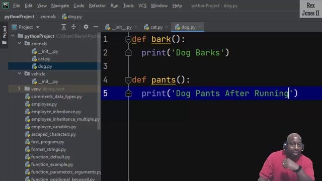 ✔ Python: How To Create, Import, and Run