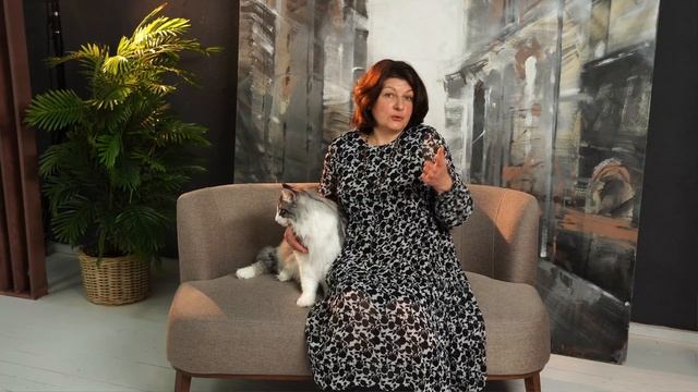 Разговор с заводчиком: норвежская лесная кошка/ всё о породе/ norwegian forest cat