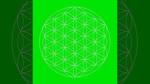 Flower of Life chakra balancing visual meditation