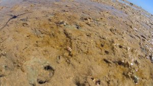 Обзор Lemon & Soul Hotel Makadi beach и дайвинг на рифах