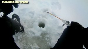 ЗИМНЯЯ рыбалка на УРАЛЕ 2022. Ловим окуня на мормышку со льда на реке Каква.