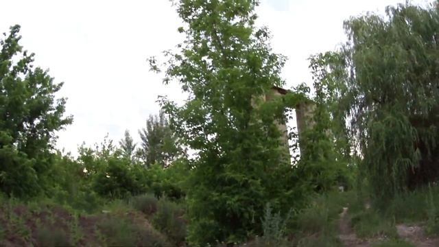 Трубный (завод) Купянск-Узловой 2020г смотреть онлайн