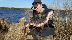 Щука Вилейского водохранилища.