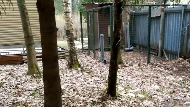 Приехали на дачу.Все поломало от снега, обживаемся... смотреть онлайн