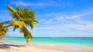 Enrique Iglesias - And I'm all alone 2024 | Trending Deep Music 2024 | REMIX XonSaroy Prod #enrique