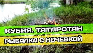 ЗАКОРМИЛ ТОЧКУ НА МАЛОЙ РЕКЕ. МЫ НЕ ОЖИДАЛИ ТАКОГО. ПЛОТВА, ГУСТЕРА ВСТАЛИ СТЕНОЙ