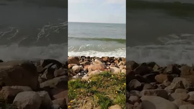 Балтика море/Светлогорск-релакс