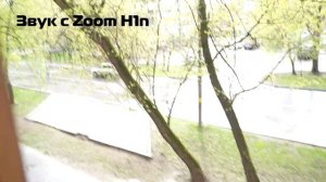 Сравнение звука с камеры SONY a7c и с рекордера Zoom H1n