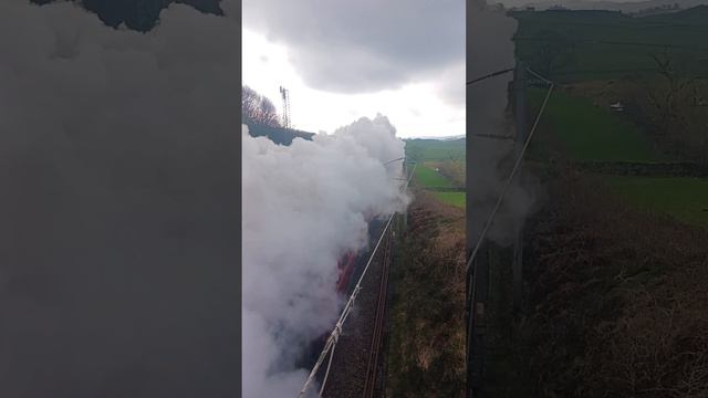 34067 'Tangmere' on WCML just before shap fell 24/2/24 #train #wcml #railway #steamtrain