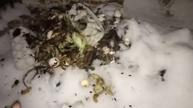 КРУГЛОГОДИЧНАЯ ЗАБОТА О ПЛОДОРОДИИ ПОЧВЫ ИЛИ РАЦИОНАЛЬНОЕ ИСПОЛЬЗОВАНИЕ ОТХОДОВ смотреть онлайн