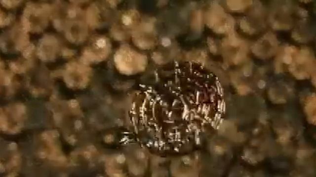 Корсары Йовин смотреть онлайн