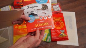 Ловушки для тараканов. Выбираем лучшую