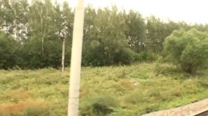 Дальнереченск. Приморский край вид из окна поезда