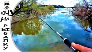 Охота с воблерами за щукой.