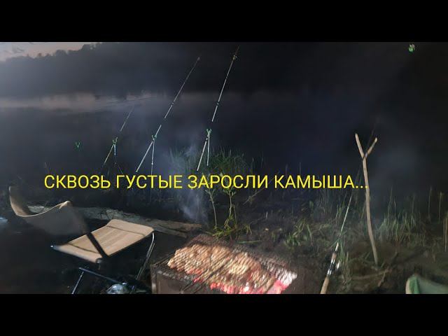 РЫБАЛКА И ОТДЫХ С НОЧЕВКОЙ НА ДОНУ-2023!!! смотреть онлайн