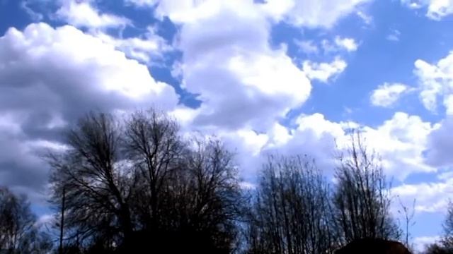 Гонит ветер облака над головой и раскачивает деревья смотреть онлайн