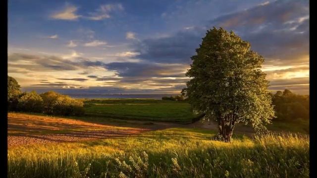 А.В.Клюев - Мысли и афоризмы Шри Ауробиндо - Глубокие Пояснения о Главном! Беседа 3/8 смотреть онлайн