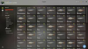 #рр4 р.Ахтуба   Краснопёрка , Елец , Чехонь   на Мах 19.04