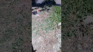 Рыбалка на тереке 2 часть