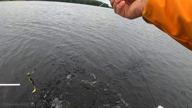Ловля судака на озере Ruovesi с системой LiveScope смотреть онлайн