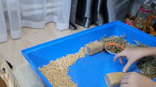 Продолжение VLOGA как я убираюсь у шиньшиков смотреть онлайн