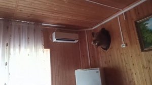 БАЗА ОТДЫХА "На ЧЕРКАССКОМ Тракте" Р. О. .Небольшая Экскурсия .Очень красивая база!?