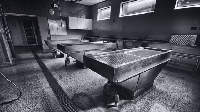 MOPГ ДОМАШНИХ ЖИВОТНЫХ... Страшные истории от Гробовщика смотреть онлайн