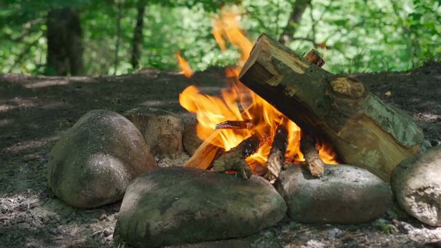 Уютный пикник в лесу: звуки природы и потрескивание огня #ЗвуковаяТерапия #ТрескКостра #ПламяЗвук