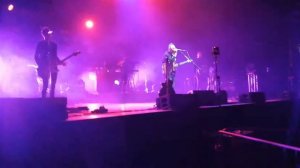 Звери-Котенок