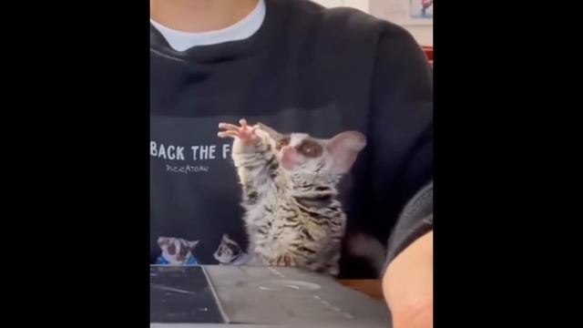 А ТЫ КОГДА ПОДНИМЕШЬСЯ ?