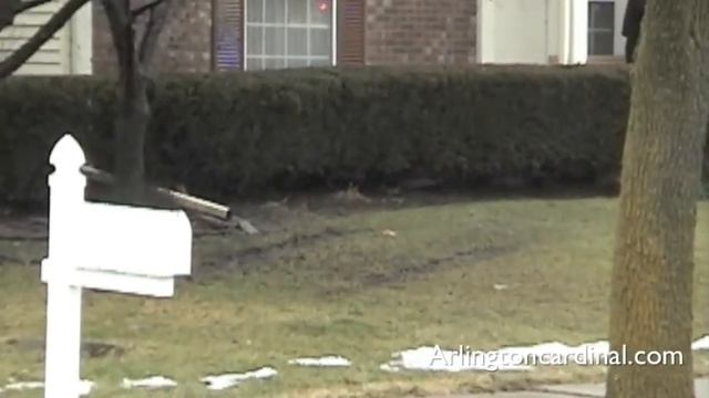 Jeep Grand Cherokee Crashes into House on Equestrian Drive in Wheeling смотреть онлайн