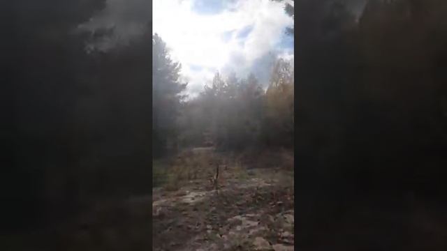 Грибы в ноябре 2020 Тимченки смотреть онлайн