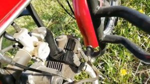 Обзор на мопед ALPHA (Альфа) для новичков.