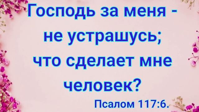Стихи из Библии для утешения и ободрения. смотреть онлайн