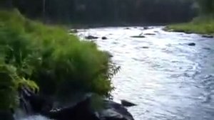 Сплав по реке Сухой пит 2 /Рыбалка ловля хариуса ленка тайменя / Красивая тайга / Охота на уток