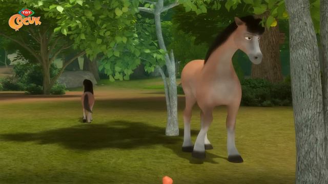 DORU | KARDEŞLİK смотреть онлайн