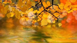 ДНИ СЕНТЯБРЯ  Галина Журавлёва ( Журга ) Николай Караченцов