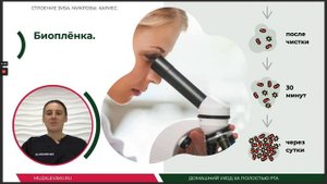 Строение зуба, микробы, кариес. Урок №1 - ДОМАШНИЙ УХОД ЗА ПОЛОСТЬЮ РТА.