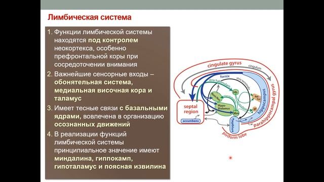 Лекция 