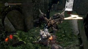 Немного про Перекаты в Dark Souls Remastered