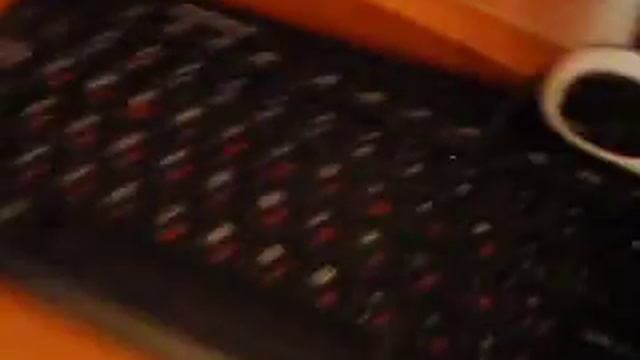 как живут питомцы ? смотреть онлайн