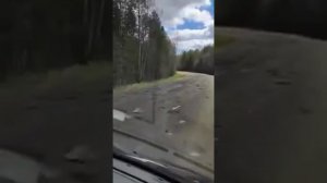 дорога ад!!!!! Нагорье -Переславль Ярославская область. кого и как заставить сделать дорогу!!!!!