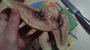 Долежит ли груша Талгарская красавица до Нового года.Эксперимент